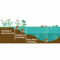 Red Flower Green Foliage Sales -Red Flower Green Foliage Sales PL0850 add image 1 10c6