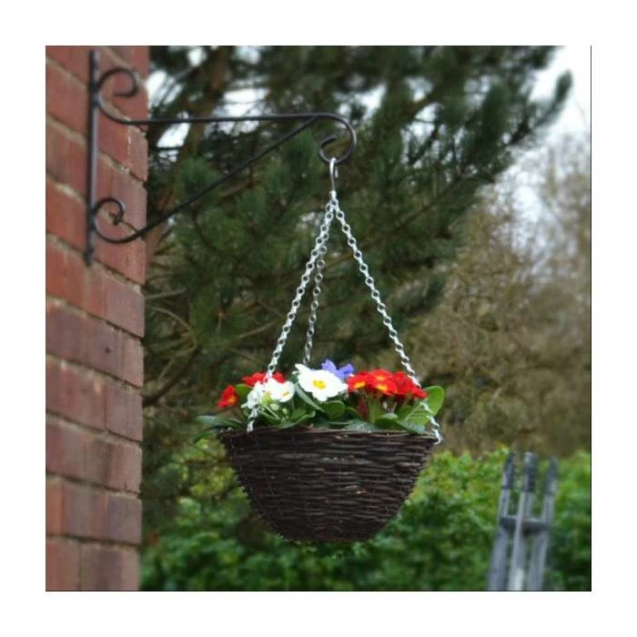 30cm Pre-Planted Hanging Basket | Primula 'Red White and Blue' Mix 7 30cm Pre-Planted Hanging Basket | Primula 'Red White and Blue' Mix - Image 5