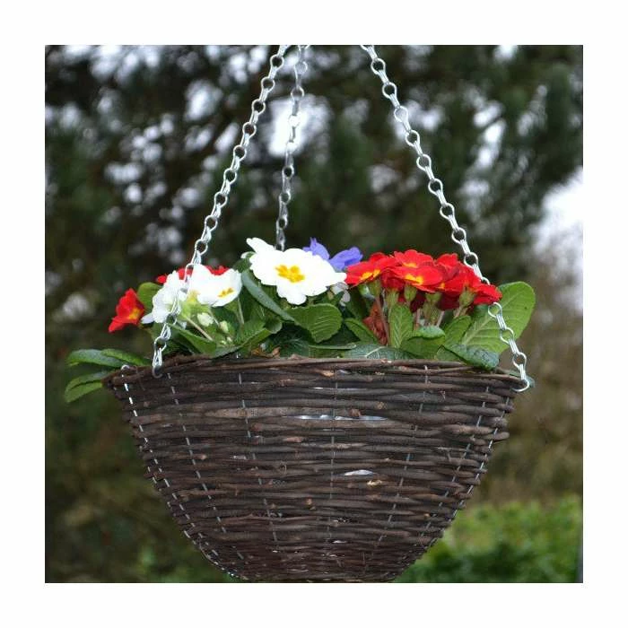 30cm Pre-Planted Hanging Basket | Primula 'Red White and Blue' Mix 3 30cm Pre-Planted Hanging Basket | Primula 'Red White and Blue' Mix